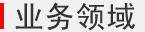 业务领域